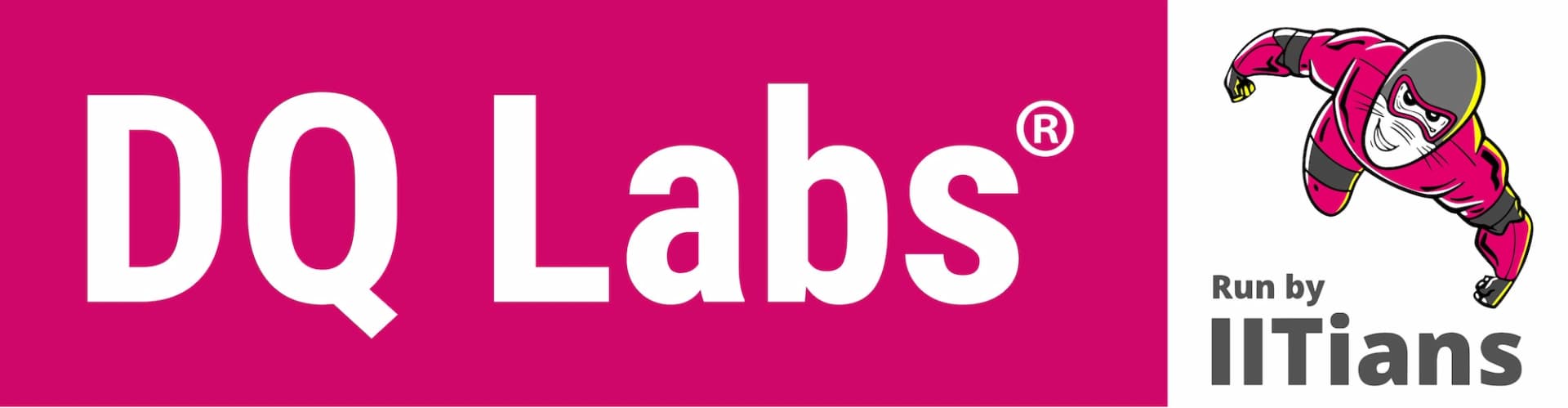 DQ Labs Logo